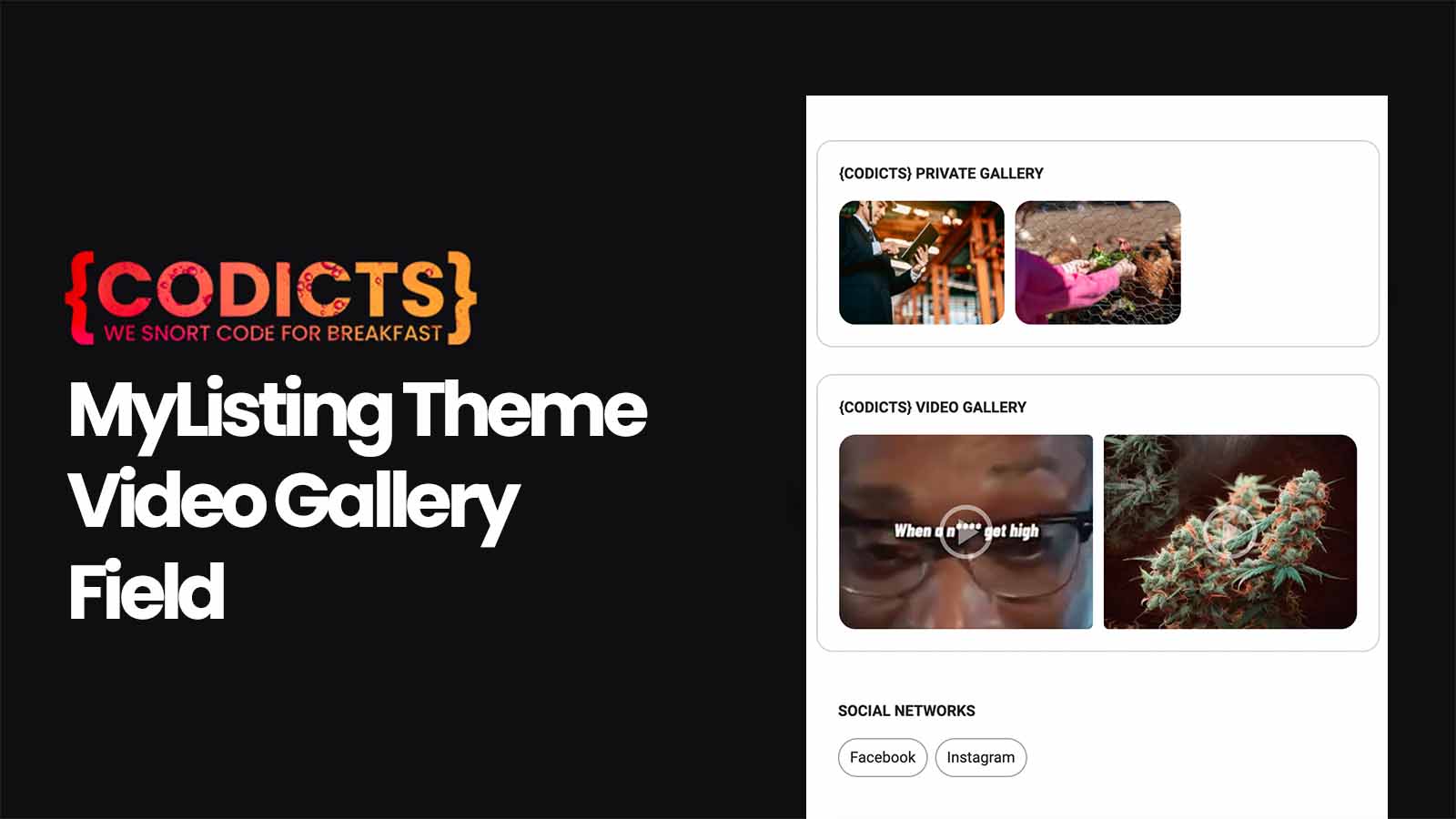 {CODICTS} MyListing Theme - Video Gallery Field