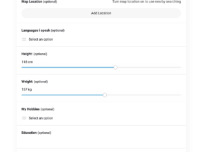 {CODICTS} MyListing Theme Measurement Field